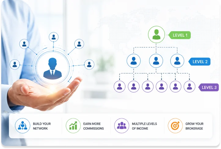 What Is a Multi Tier IB Module?